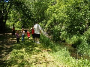 Sometimes the best way to spend the summer is to just take a walk!